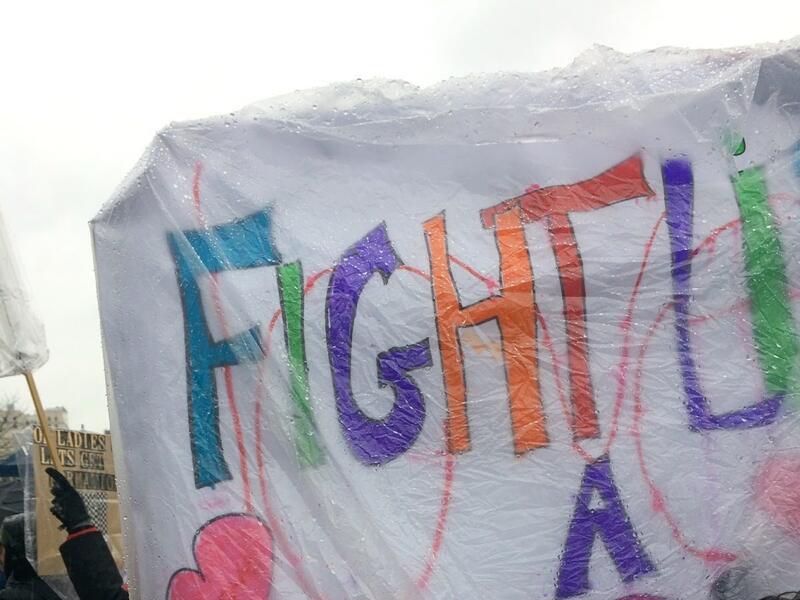 Fight Like A Girl Protest Sign