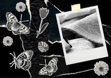 Collage of black and white butterflies and snapshot of prayer shawl