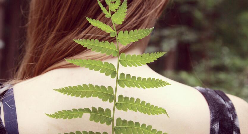Leaf spine
