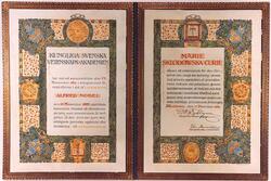 Marie Curie Nobel Prize Award
