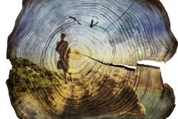 "A Female Gaze Into History" by Tiffany Shlain