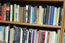 Bookshelf and Books