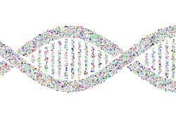 DNA Double Helix