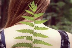 Leaf spine