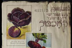 Old page with Yiddish and vegetable imagery