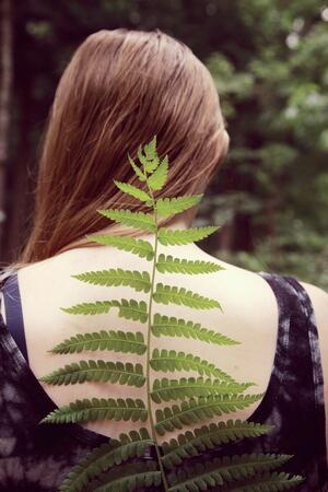 Leaf spine