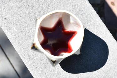 Feldi Studios Kiddush Cup