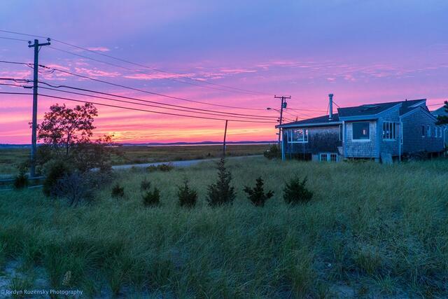 Summer on Plumb Island
